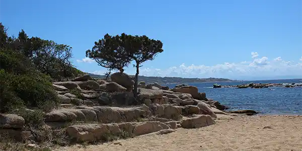 plage du sud de la Corse